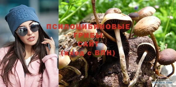 крисы Абаза