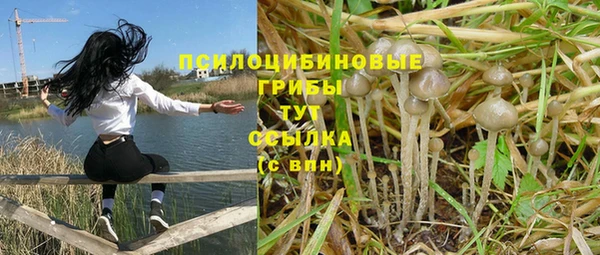 ПСИЛОЦИБИНОВЫЕ ГРИБЫ Абинск